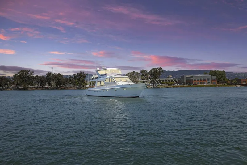 Slide: The Image of 1998 Symbol 558 DOS GATOS 1000 - 5812890