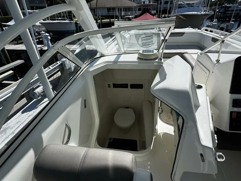 Slide: The Image of Head - 5812942