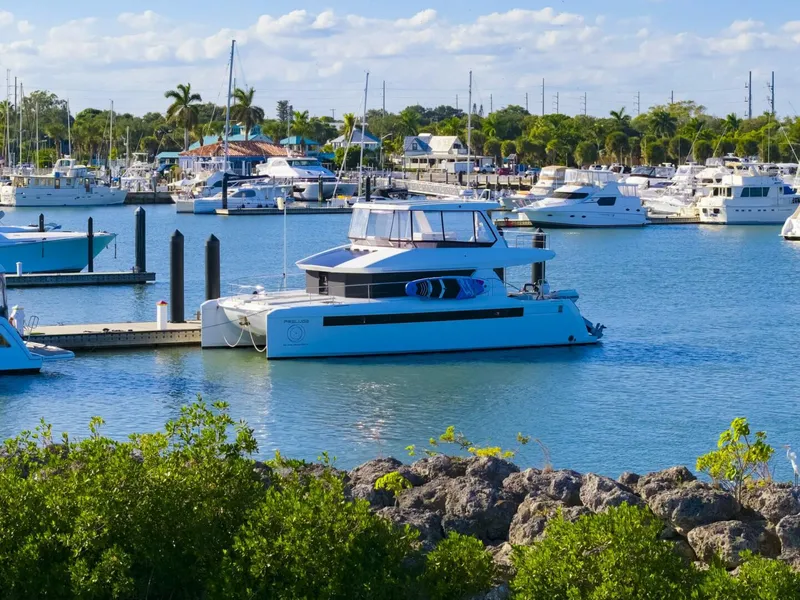 Slide: The Image of Leopard 46 PC 2024 - 5813454