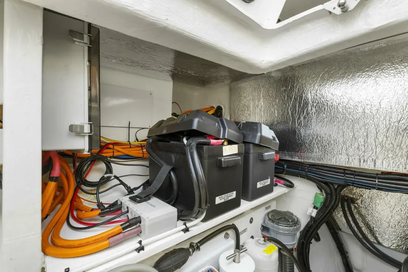 Slide: The Image of Leopard 46 PC 2024 - 5813574