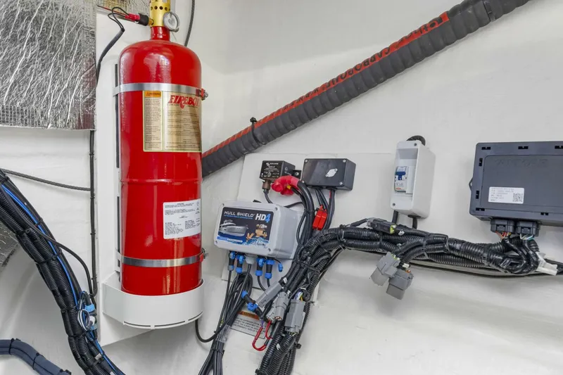 Slide: The Image of Leopard 46 PC 2024 - 5813576