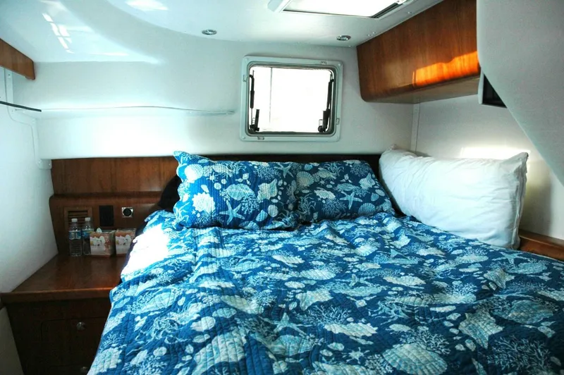 Slide: The Image of PDQ Antares 2006 - 5814168