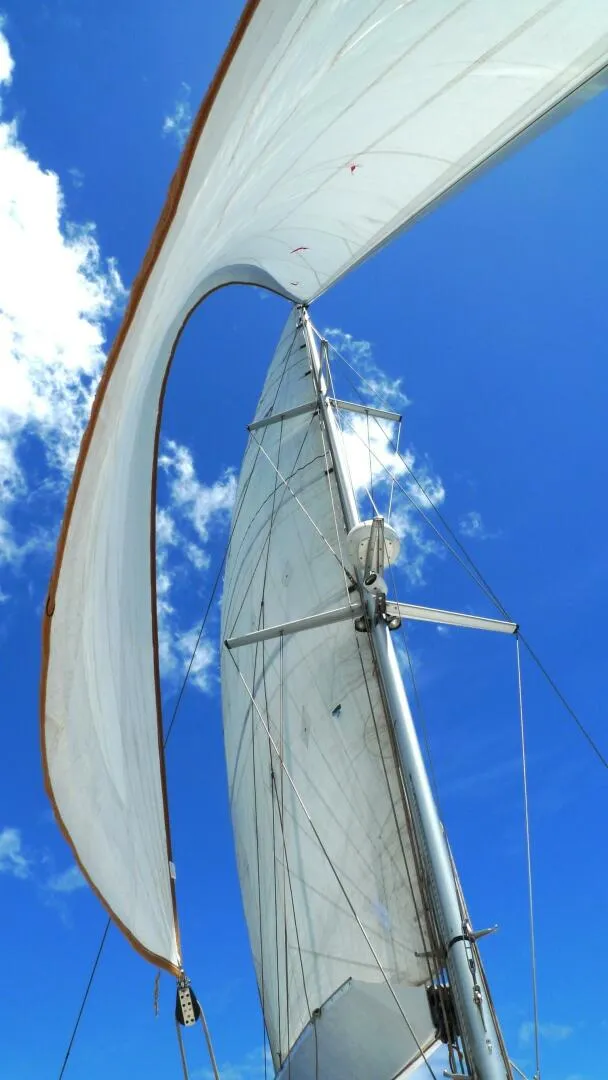 Slide: The Image of PDQ Antares 2006 - 5814157