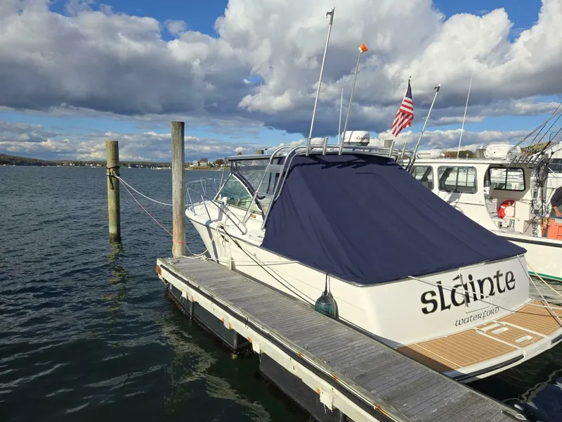 Slide: The Image of Tiara Coronet 1998 - 5814579