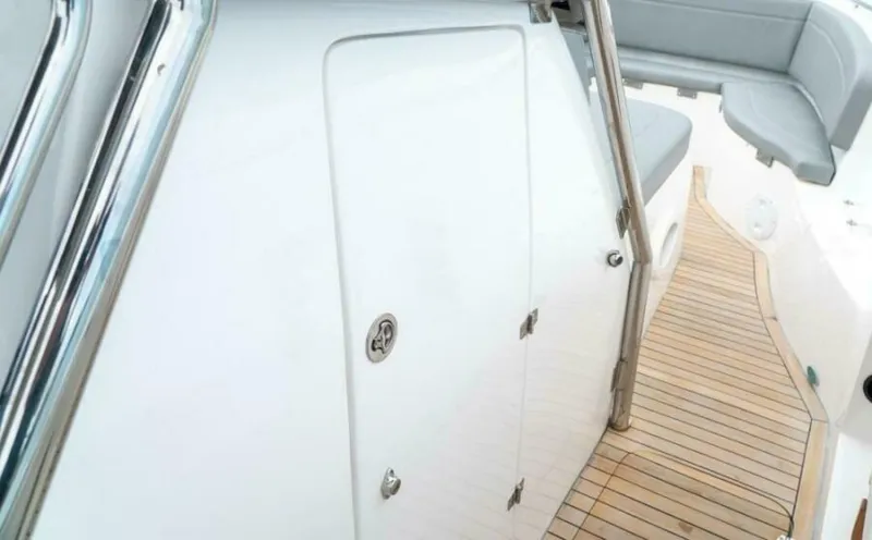 Slide: The Image of Fishing Raptor 390 Solarium 2025 - 5814255