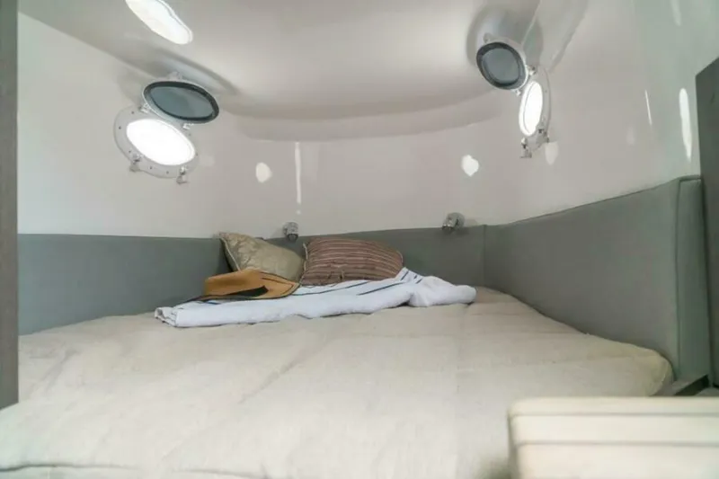 Slide: The Image of Fishing Raptor 390 Solarium 2025 - 5814260