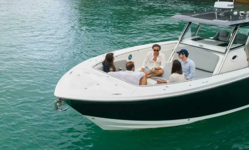 Slide: The Image of Fishing Raptor 390 Solarium 2025 - 5814261