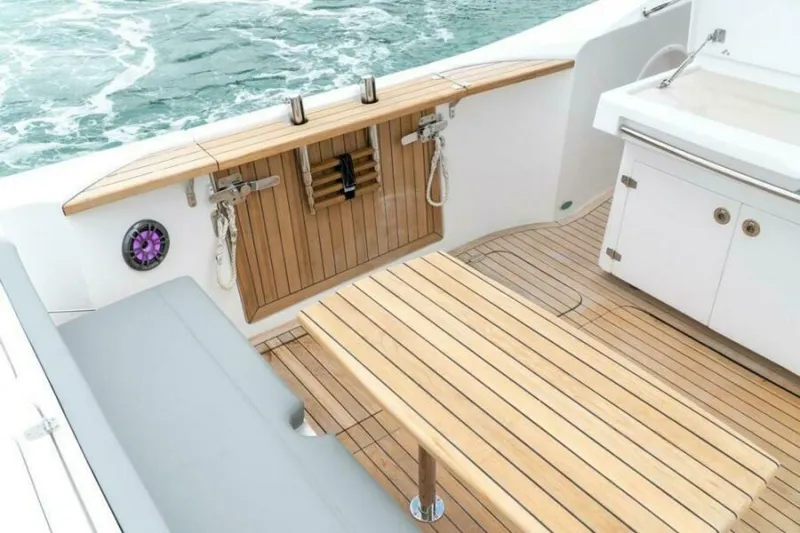 Slide: The Image of Fishing Raptor 390 Solarium 2025 - 5814252