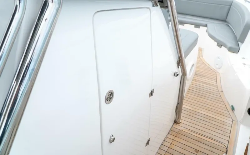 Slide: The Image of Fishing Raptor 390 Solarium 2025 - 7659435