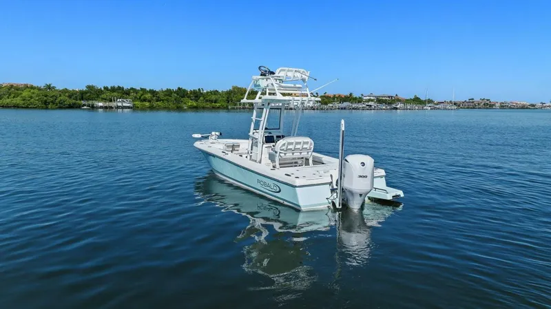 Slide: The Image of Robalo 246 Cayman 2020 - 5814305