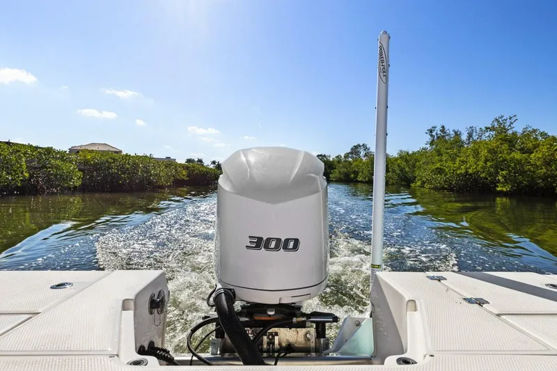 Slide: The Image of Robalo 246 Cayman 2020 - 5814316