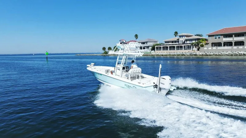 Slide: The Image of Robalo 246 Cayman 2020 - 5814336