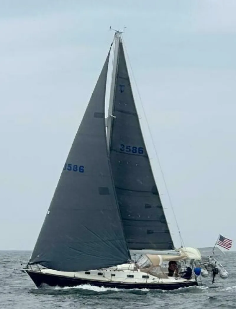 The Image of Tartan 3500 1998 - 5815382