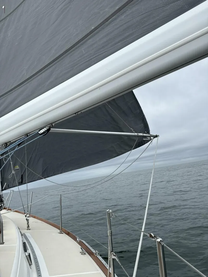 Slide: The Image of Tartan 3500 1998 - 5815413