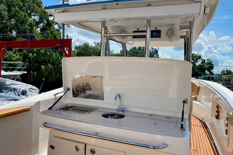 Slide: The Image of Fishing Raptor 390 Solarium 2023 - 7581293