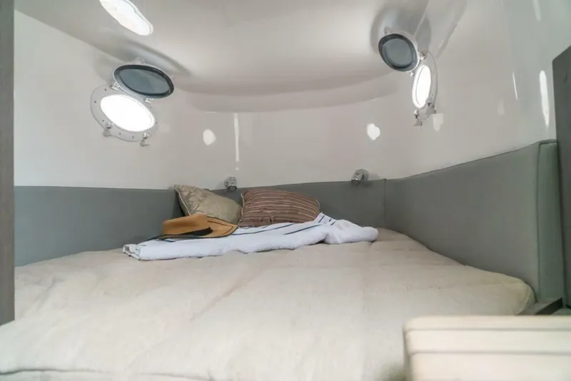 Slide: The Image of Fishing Raptor 390 Solarium 2023 - 7581303