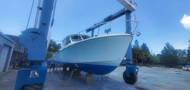 Slide: The Image of Back Cove 390 2021 - 5815431