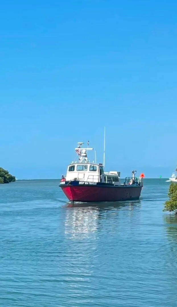 The Image of Commercial COMMERCIAL 1964 - 5816785