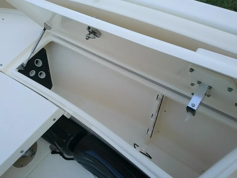 Slide: The Image of Scout 251 XSS 2018 - 5831692