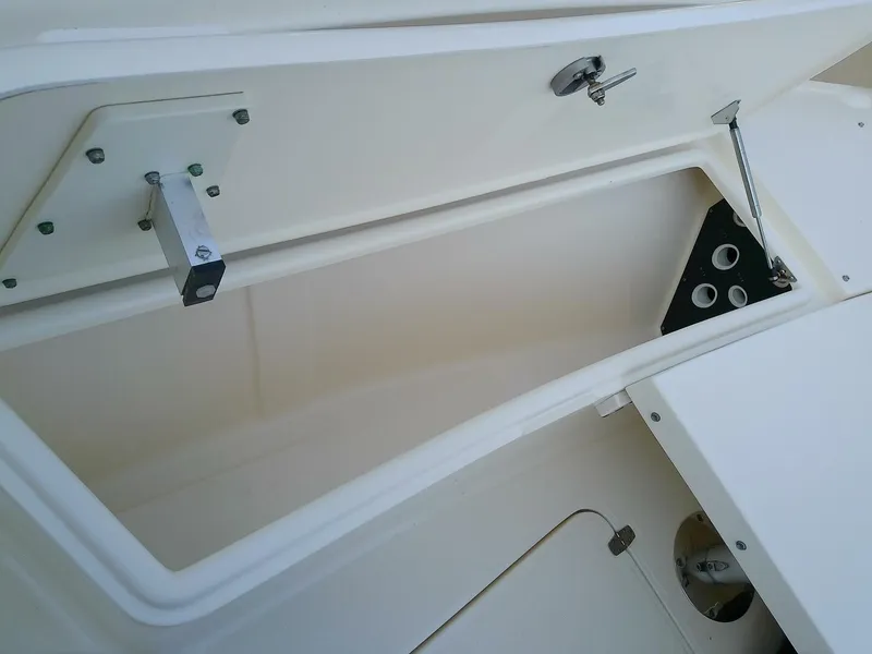 Slide: The Image of Scout 251 XSS 2018 - 5831693