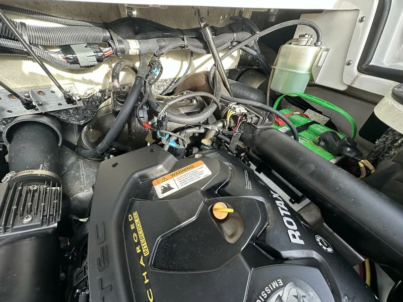 Slide: The Image of Scarab 215 2021 - 5838080