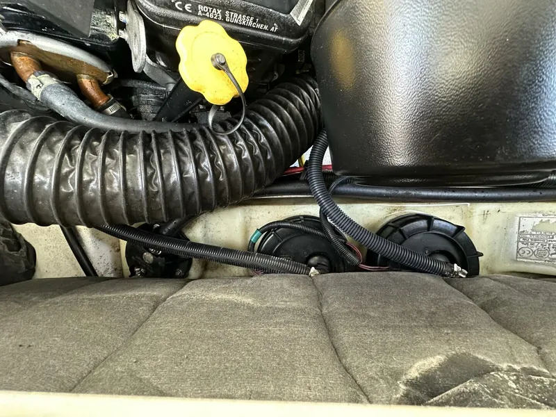 Slide: The Image of Scarab 215 2021 - 5838082