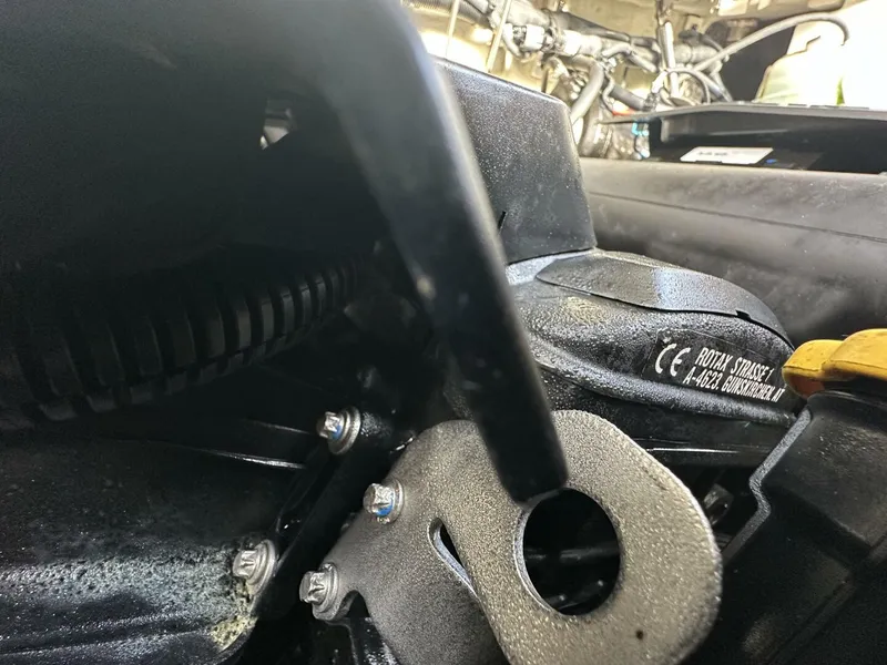 Slide: The Image of Scarab 215 2021 - 5838083