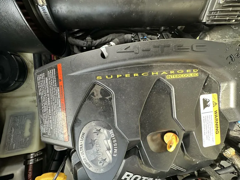 Slide: The Image of Scarab 215 2021 - 5838084