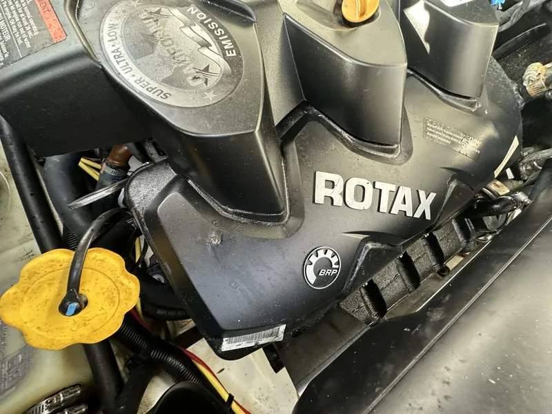 Slide: The Image of Scarab 215 2021 - 5838085