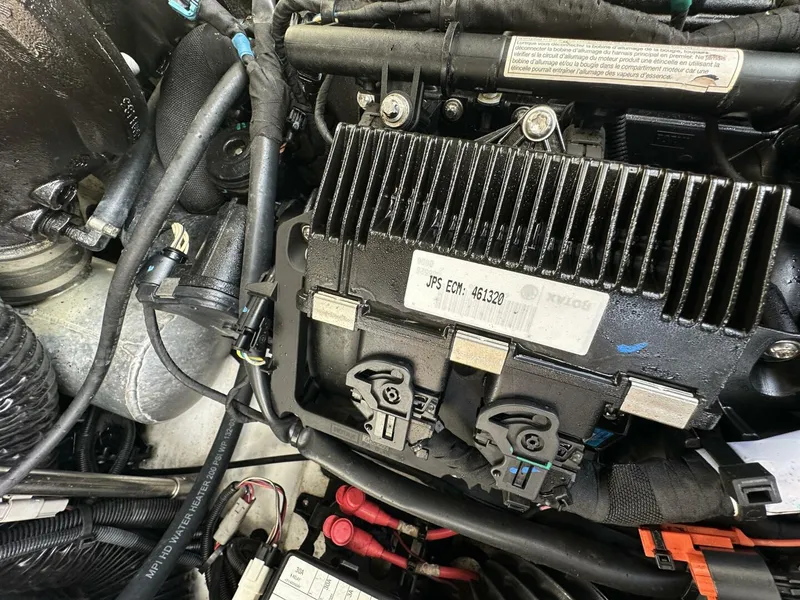 Slide: The Image of Scarab 215 2021 - 5838086