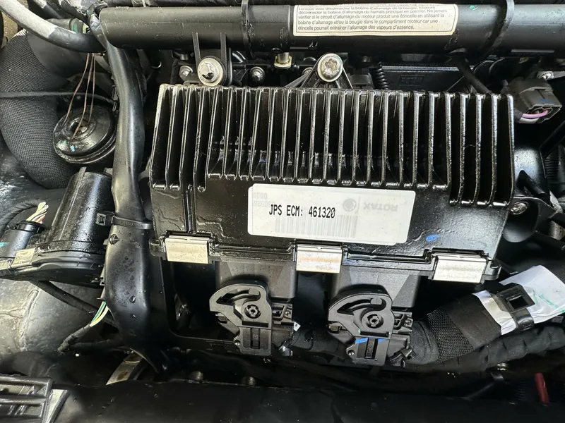 Slide: The Image of Scarab 215 2021 - 5838087