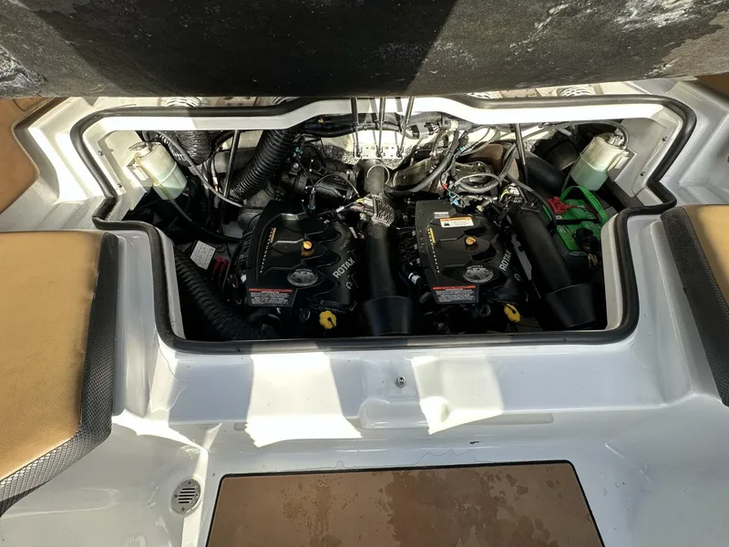 Slide: The Image of Scarab 215 2021 - 5838088