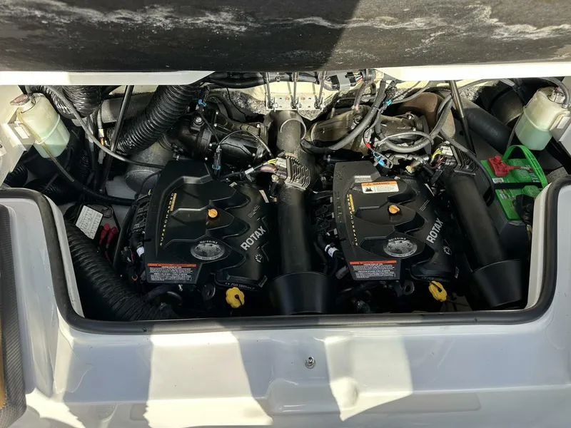 Slide: The Image of Scarab 215 2021 - 5838089