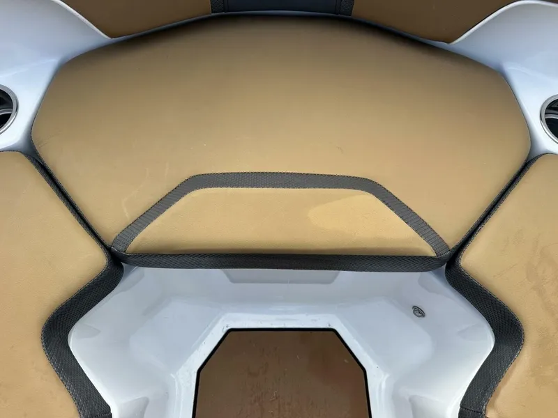 Slide: The Image of Scarab 215 2021 - 7516558