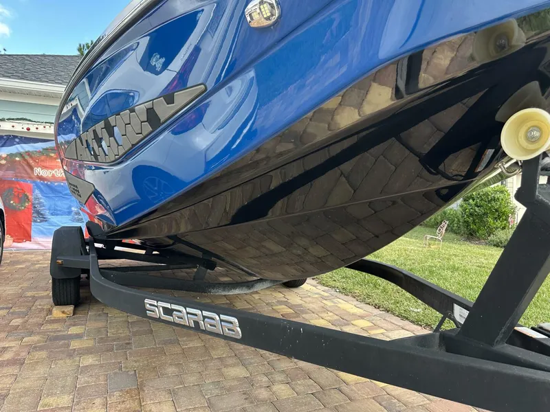 Slide: The Image of Scarab 215 2021 - 5837991