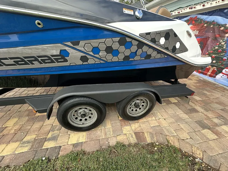 Slide: The Image of Scarab 215 2021 - 5837998