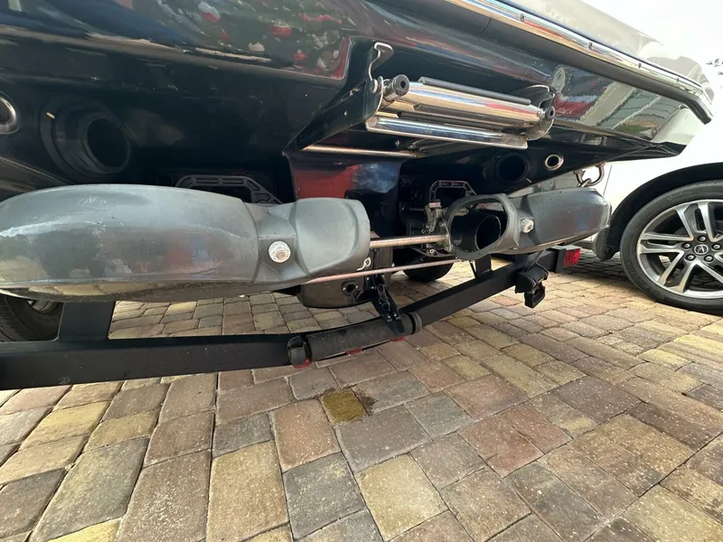 Slide: The Image of Scarab 215 2021 - 5838001