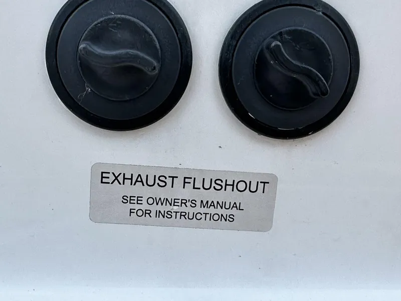 Slide: The Image of Scarab 215 2021 - 5838006