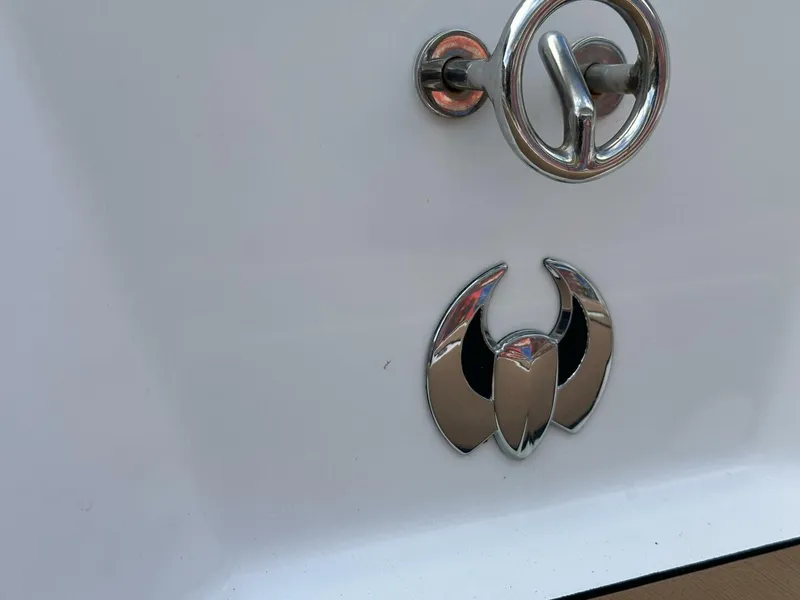 Slide: The Image of Scarab 215 2021 - 5838007