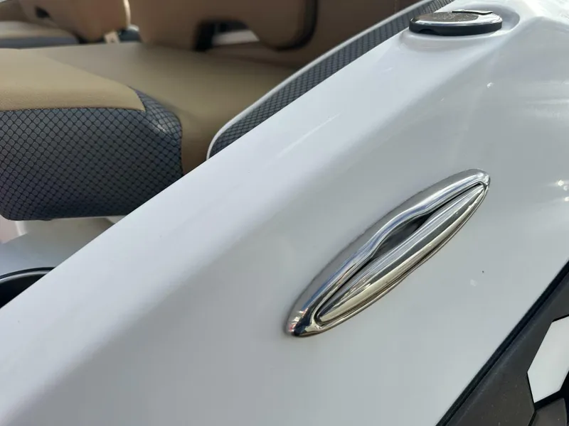 Slide: The Image of Scarab 215 2021 - 5838013