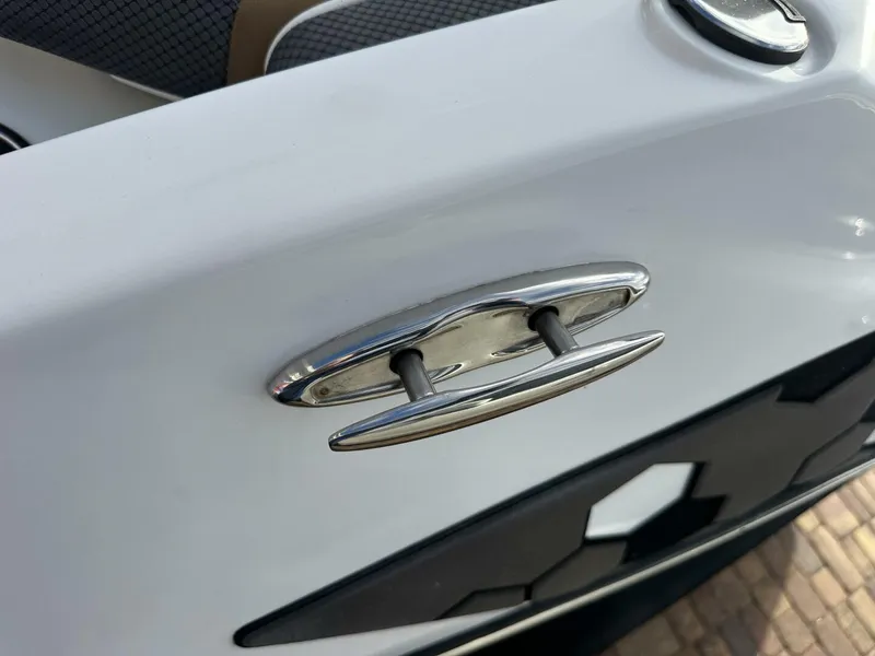 Slide: The Image of Scarab 215 2021 - 5838014