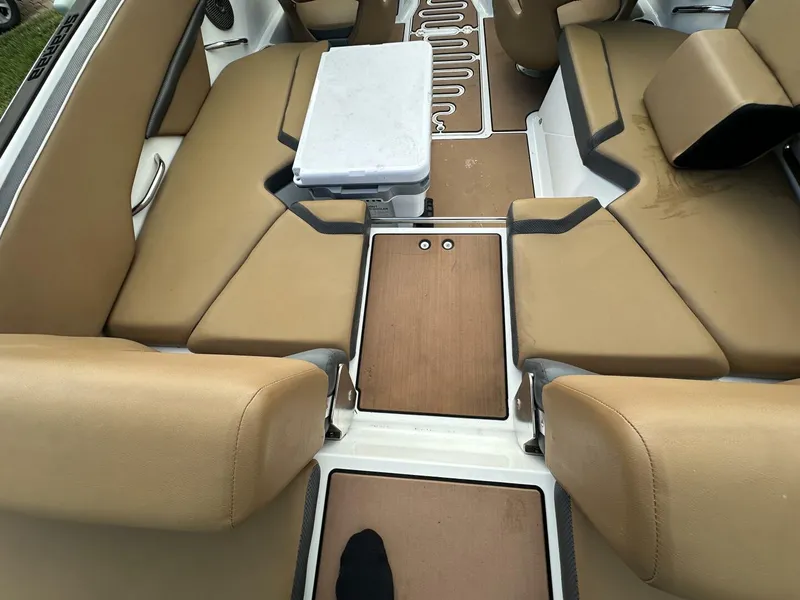 Slide: The Image of Scarab 215 2021 - 5838021