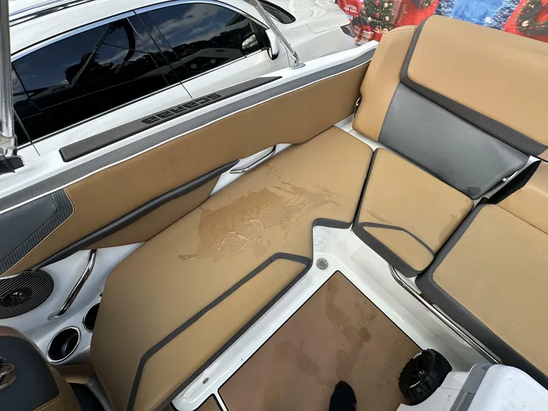 Slide: The Image of Scarab 215 2021 - 5838022