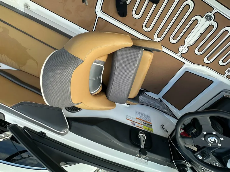 Slide: The Image of Scarab 215 2021 - 5838030