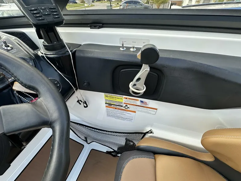 Slide: The Image of Scarab 215 2021 - 5838031