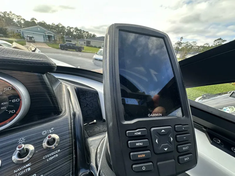 Slide: The Image of Scarab 215 2021 - 5838034