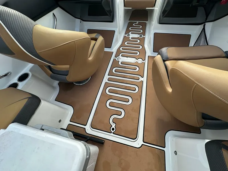 Slide: The Image of Scarab 215 2021 - 5838042