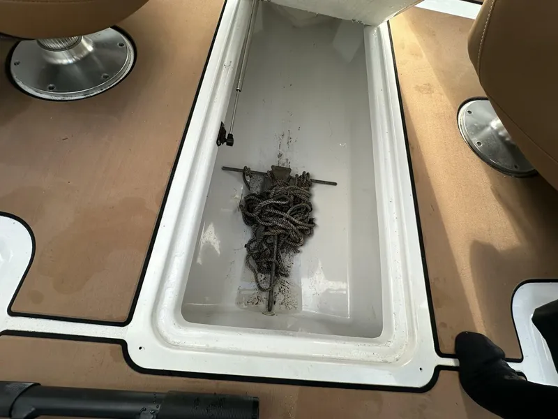 Slide: The Image of Scarab 215 2021 - 5838043