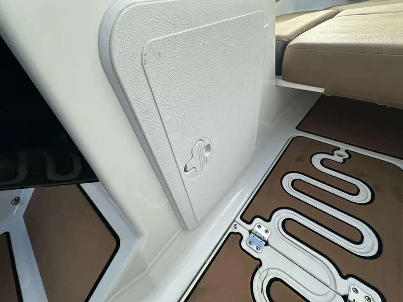 Slide: The Image of Scarab 215 2021 - 5838045