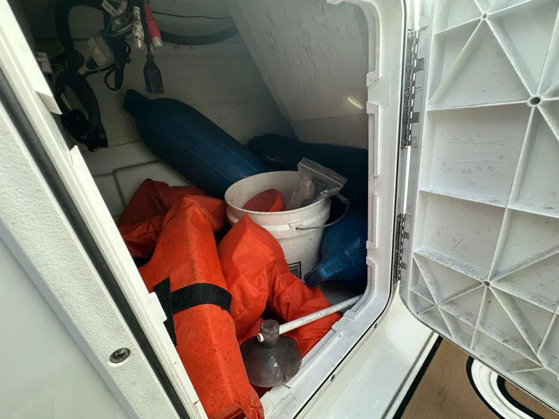 Slide: The Image of Scarab 215 2021 - 5838046